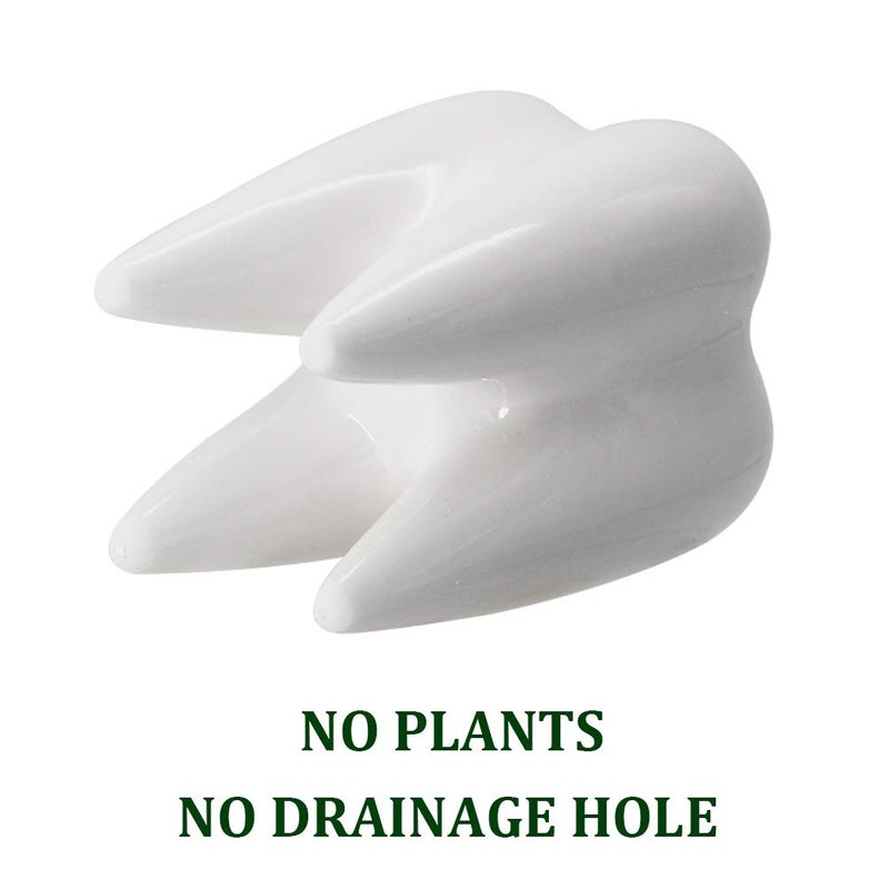YOFIT Modern Style Teeth Pots Ceramic Flower Pot for Dental Gifts, White Succulent Cactus Bonsai Planter Container for Dental Office Decor, 3.7" Set of 4 - Image 3